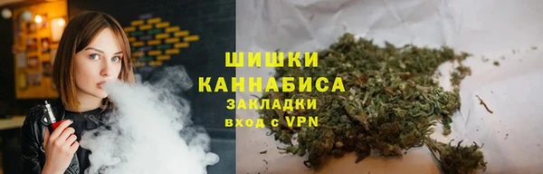 соль ск Алзамай