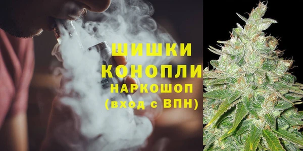 соль ск Алзамай