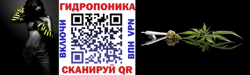 Канабис ГИДРОПОН Шуя